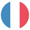 flag-for-france-large